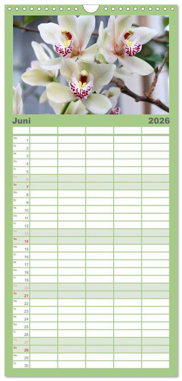Produktbild: Familienplaner 2026 - Pr&auml;chtige Orchideen mit 5 Spalten (Wandkalender, 21 x 45 cm) CALVENDO