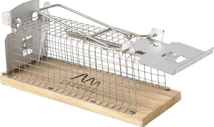 Produktbild: Gardigo Live Mouse Trap Lebendfalle Funktionsart Lockstoff 1St.
