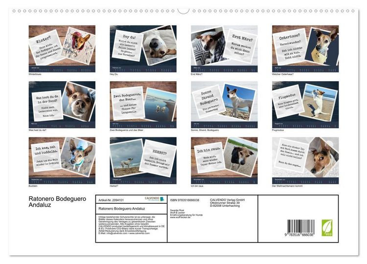 Produktbild: Ratonero Bodeguero Andaluz (hochwertiger Premium Wandkalender 2026 DIN A2 quer), Kunstdruck in Hochglanz