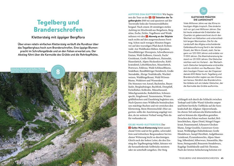 Produktbild: Waldpfade Allg&auml;u