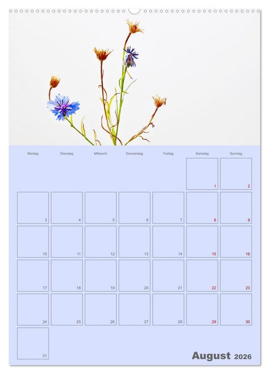 Produktbild: Blumenmetamorphosen (Wandkalender 2026 DIN A2 hoch), CALVENDO Monatskalender