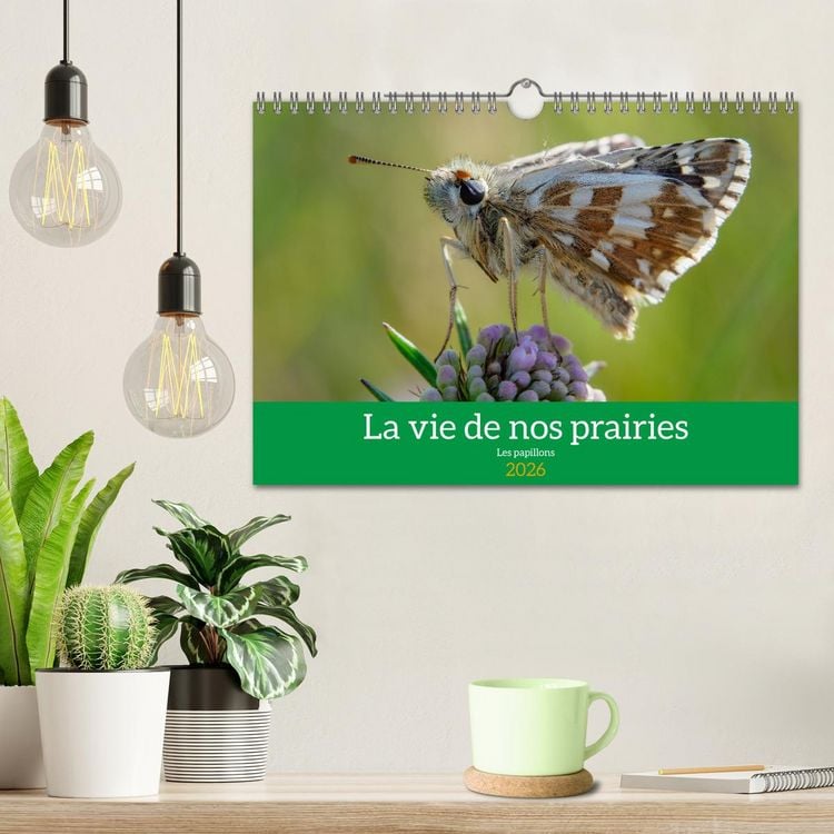 Produktbild: La vie de nos prairie, les papillons (Calendrier mural 2026 DIN A4 vertical), CALVENDO calendrier mensuel
