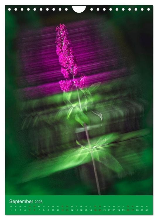 Produktbild: Floraler Tanz (Wandkalender 2026 DIN A4 hoch), CALVENDO Monatskalender