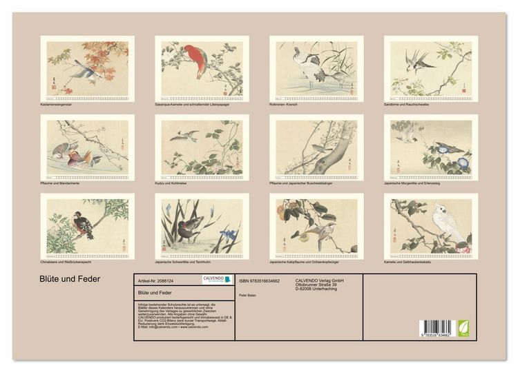 Produktbild: Bl&uuml;te und Feder (Wandkalender 2026 DIN A2 quer), CALVENDO Monatskalender