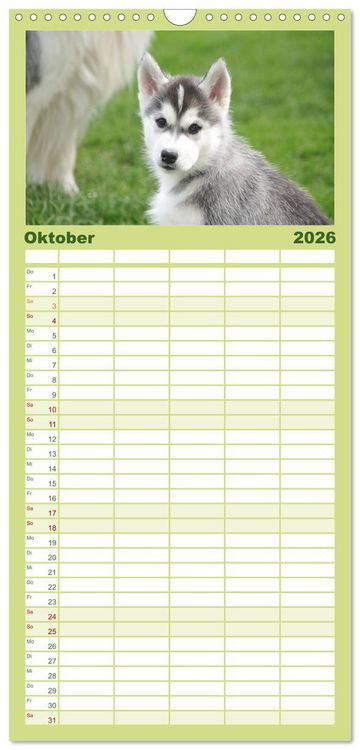 Produktbild: Familienplaner 2026 - Siberian Husky - der Urtyp mit 5 Spalten (Wandkalender, 21 x 45 cm) CALVENDO