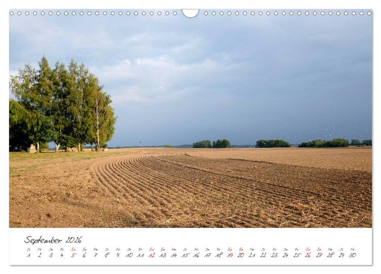Produktbild: Osteeinsel Poel (Wandkalender 2026 DIN A3 quer), CALVENDO Monatskalender