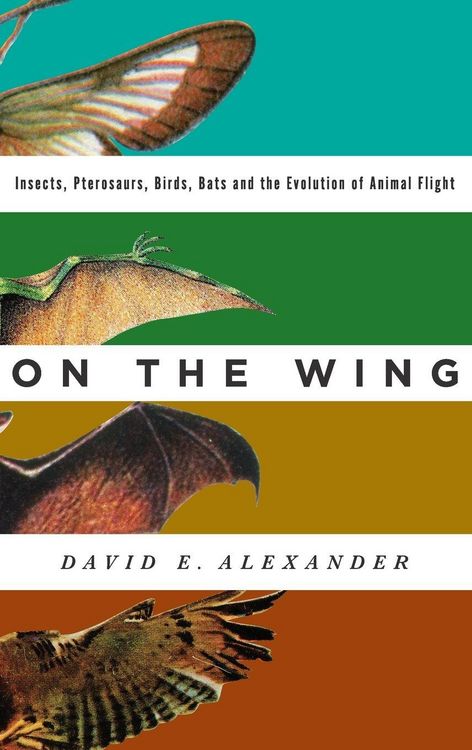 Produktbild: On the Wing