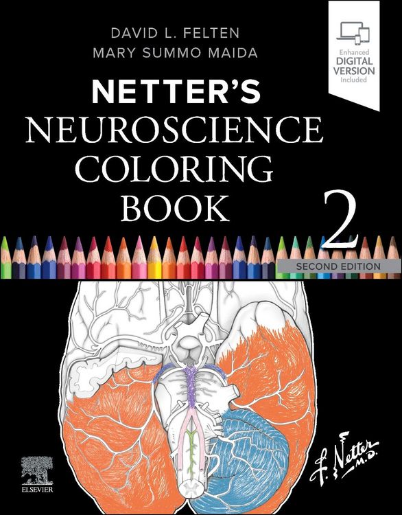 Produktbild: Netter's Neuroscience Coloring Book