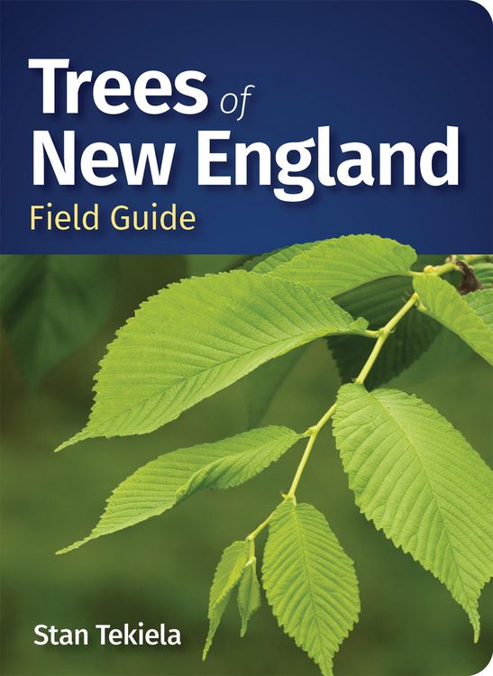 Produktbild: Trees of New England Field Guide