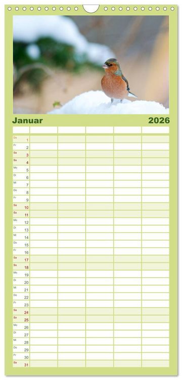 Produktbild: Familienplaner 2026 - Heimische V&ouml;gel mit 5 Spalten (Wandkalender, 21 x 45 cm) CALVENDO