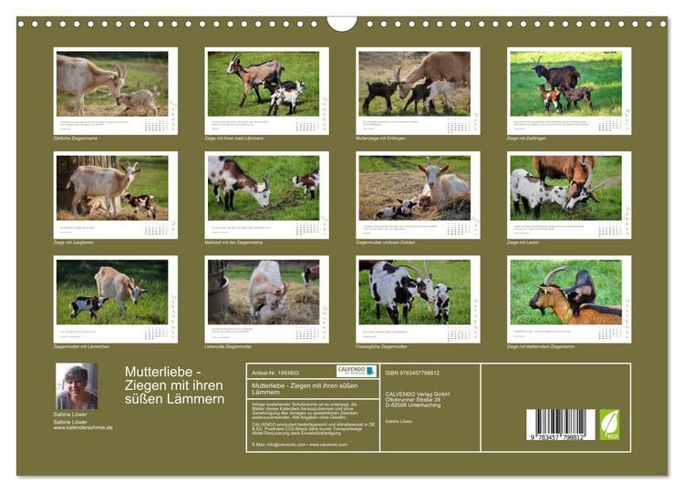 Produktbild: Mutterliebe - Ziegen mit ihren s&uuml;&szlig;en L&auml;mmern (Wandkalender 2026 DIN A3 quer), CALVENDO Monatskalender