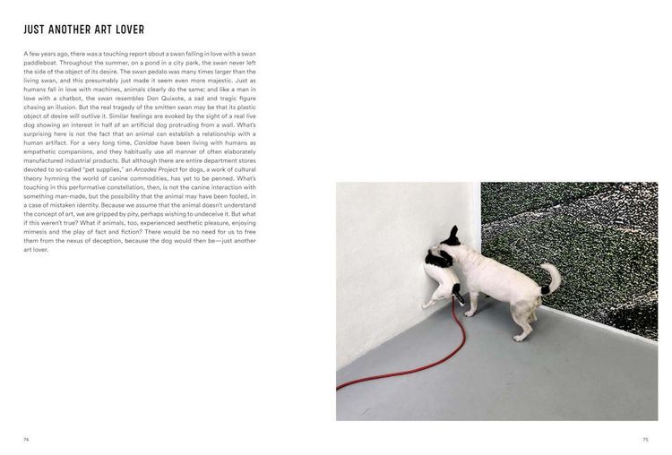 Produktbild: Rolf Walz. Blind Spot Bias