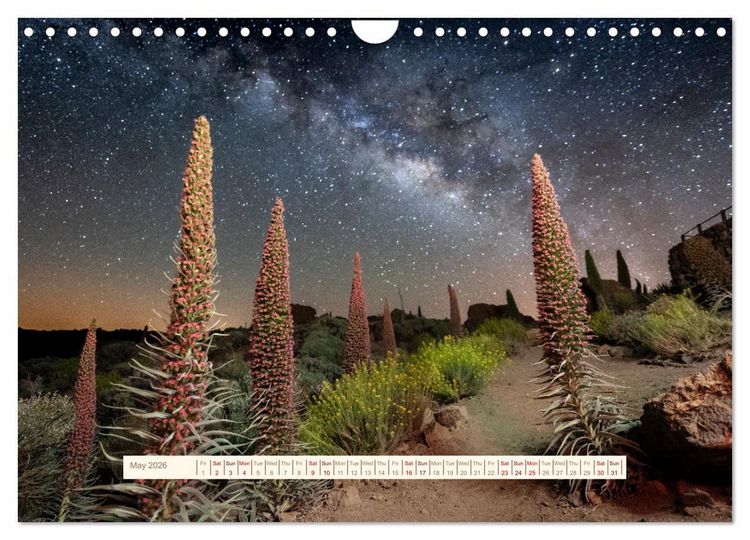 Produktbild: Magical Tenerife (Wall Calendar 2026 DIN A4 landscape), CALVENDO 12 Month Wall Calendar