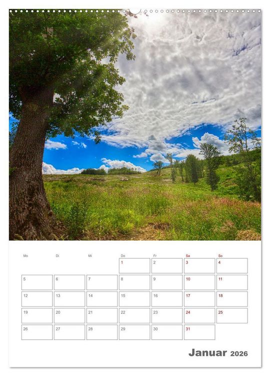 Produktbild: Planen mit dem Symbol der inneren St&auml;rke (Wandkalender 2026 DIN A2 hoch), CALVENDO Monatskalender