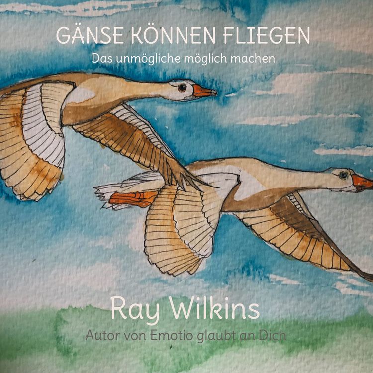 Produktbild: G&auml;nse k&ouml;nnen fliegen