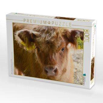 Produktbild: CALVENDO Puzzle K&auml;lber - Kleine Herzensbrecher auf den Wiesen | 1000 Teile Lege-Gr&ouml;&szlig;e 64x48cm Foto-Puzzle f&uuml;r gl&uuml;ckliche Stunden