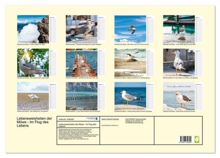 Produktbild: Lebensweisheiten der M&ouml;we - Im Flug des Lebens (Wandkalender 2026 DIN A2 quer), CALVENDO Monatskalender