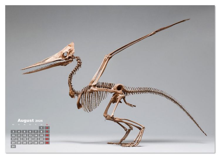 Produktbild: Knochen der Giganten - Dinosaurier im Portr&auml;t (Wandkalender 2026 DIN A2 quer), CALVENDO Monatskalender