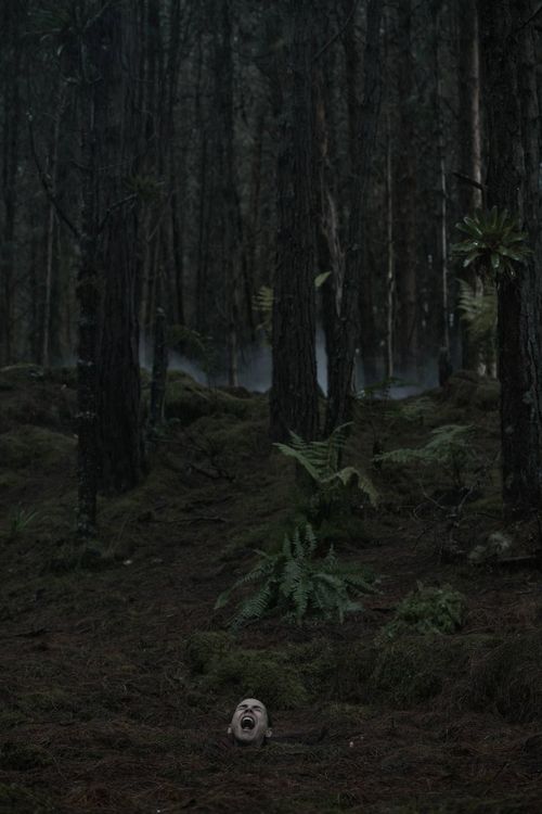 Produktbild: Quicksand - Gefangen im Treibsand
