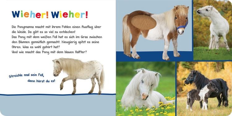 Produktbild: H&ouml;r mal rein, wer kann das sein? &ndash; Kuschelige Tiere