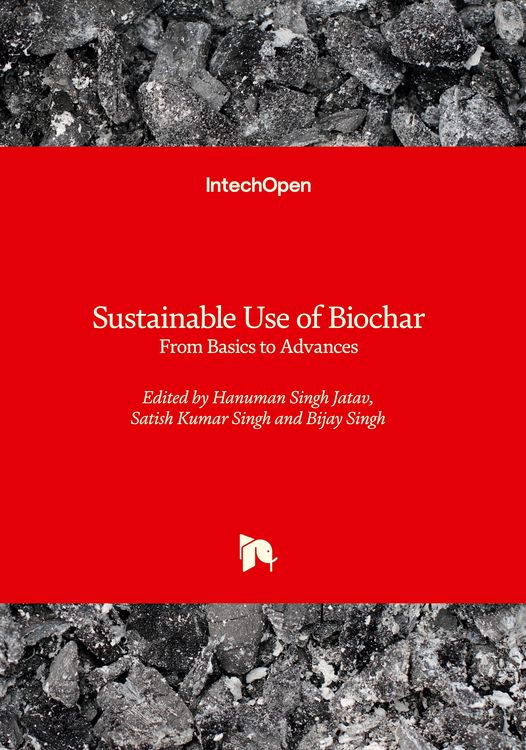 Produktbild: &nbsp;Sustainable Use of Biochar - From Basics to Advances