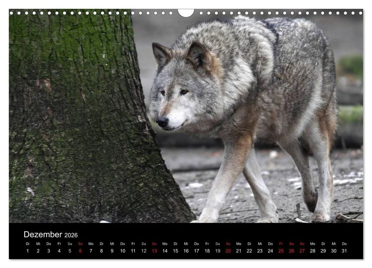Produktbild: Tiere unserer Erde (Wandkalender 2026 DIN A3 quer), CALVENDO Monatskalender