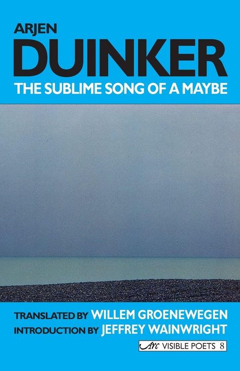 Produktbild: The Sublime Song of a Maybe