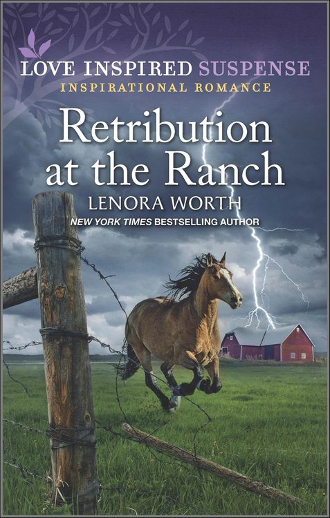 Produktbild: Retribution at the Ranch