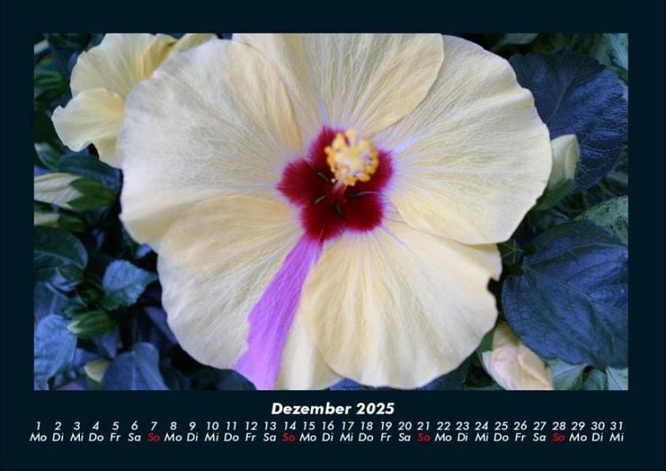 Produktbild: Bilder aus der Natur 2025 Fotokalender DIN A4