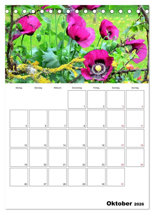 Produktbild: Langeoog - eine Trauminsel (Tischkalender 2026 DIN A5 hoch), CALVENDO Monatskalender