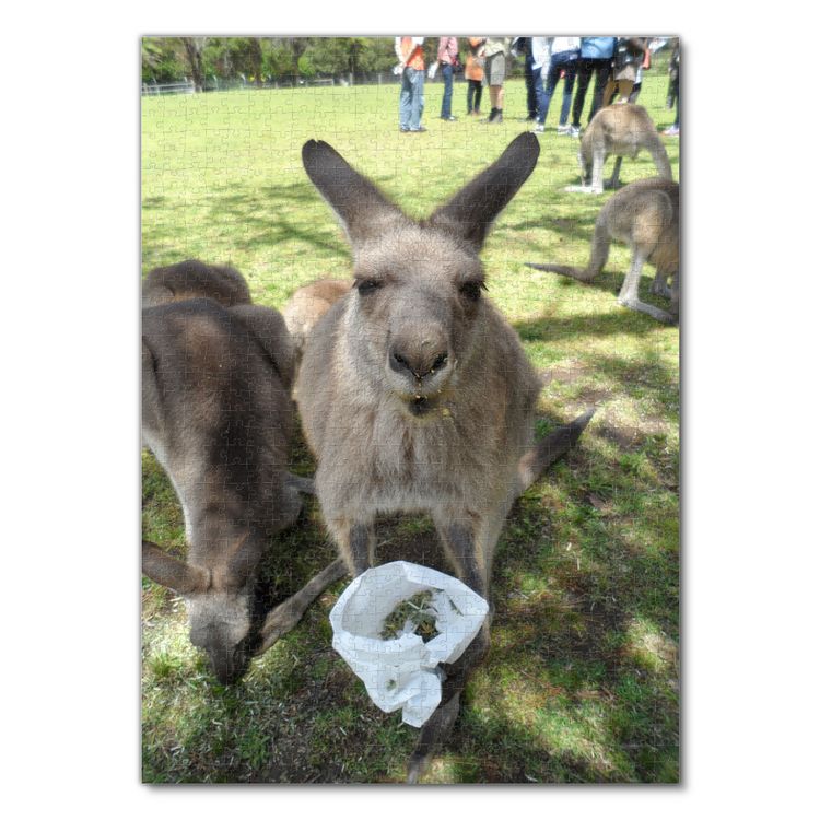 Produktbild: Lais Puzzle K&auml;nguru Australien 1000 Teile