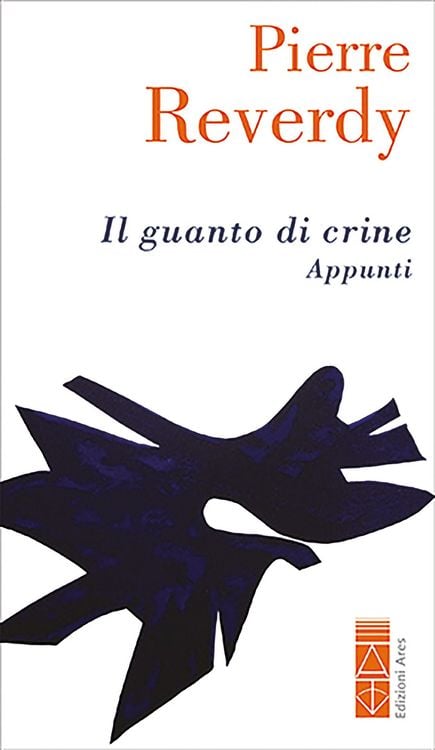 Produktbild: Il guanto di crine