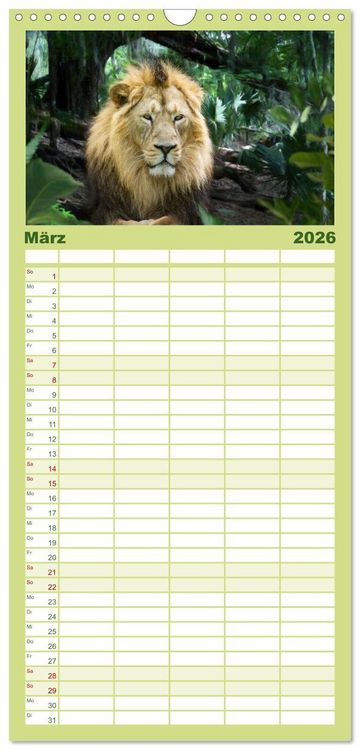 Produktbild: Familienplaner 2026 - Hallo Dschungel - Artwork mit 5 Spalten (Wandkalender, 21 x 45 cm) CALVENDO