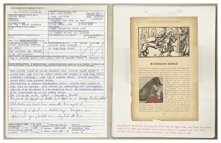 Produktbild: The X-Files: The Official Archives