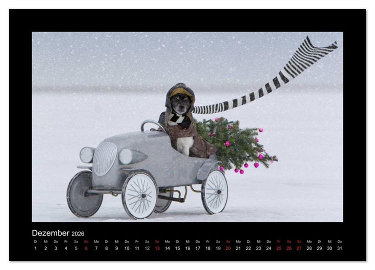 Produktbild: Jack Russell Terrier.....Ein Verwandlungsk&uuml;nstler namens Jake (Wandkalender 2026 DIN A3 quer), CALVENDO Monatskalender
