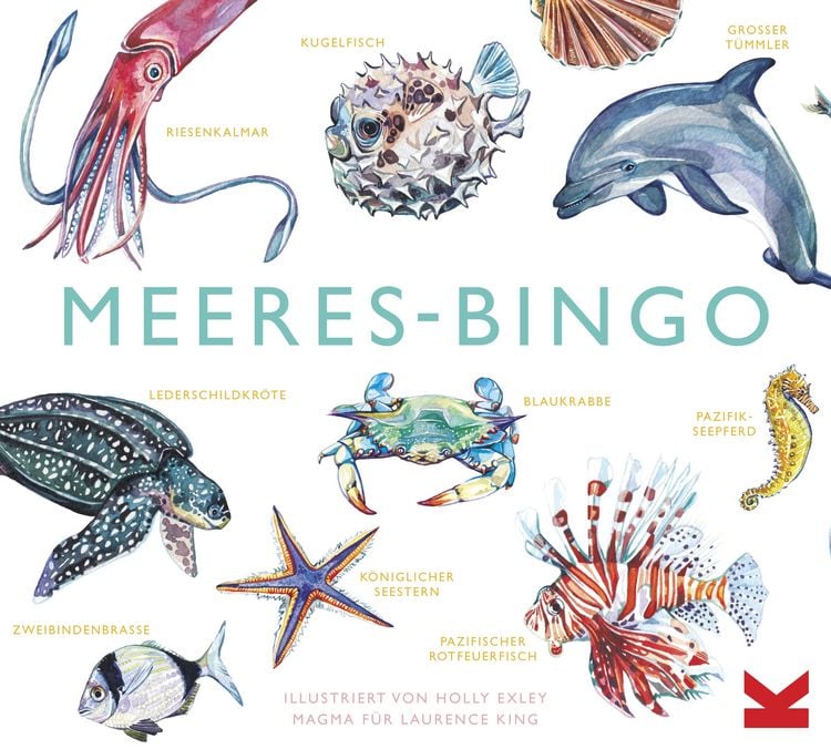 Produktbild: Meeres-Bingo