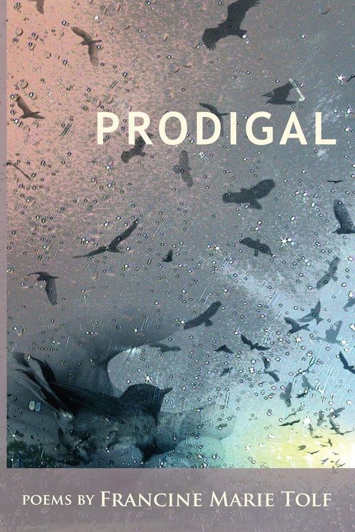 Produktbild: Prodigal