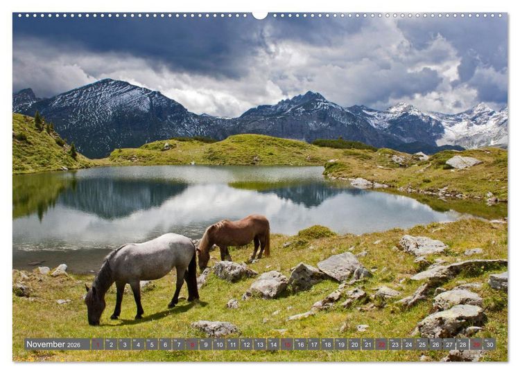 Produktbild: Wir sind die Stars auf der Alm (hochwertiger Premium Wandkalender 2026 DIN A2 quer), Kunstdruck in Hochglanz