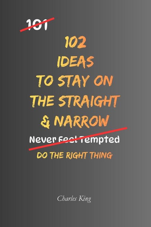Produktbild: 102 Ideas To Stay On The Straight And Narrow