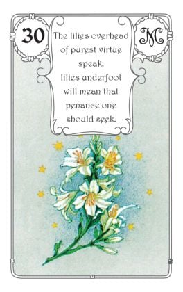 Produktbild: Mlle Lenormand - Red Owl