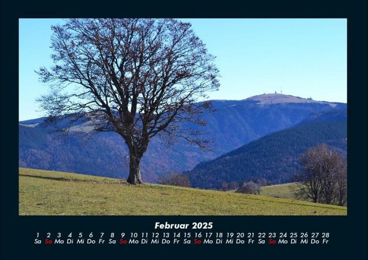 Produktbild: Landschaftskalender 2025 Fotokalender DIN A4