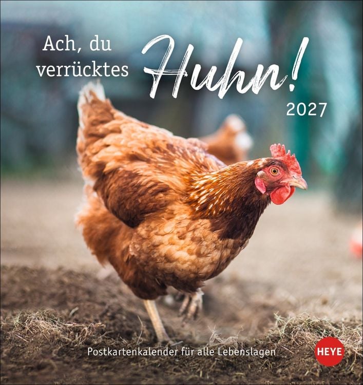 Produktbild: H&uuml;hner Postkartenkalender 2027 - Ach, du verr&uuml;cktes Huhn!