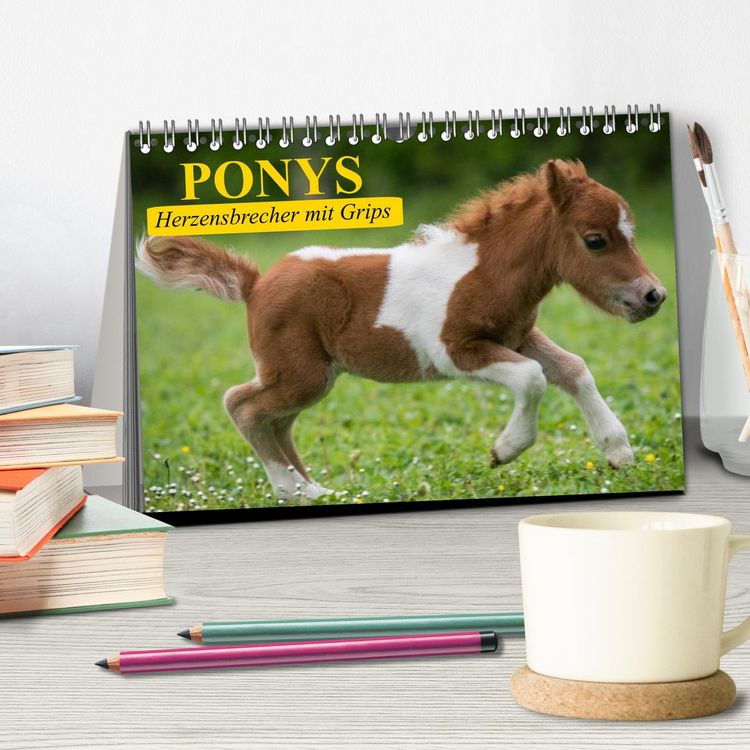 Produktbild: Ponys. Herzensbrecher mit Grips (Tischkalender 2026 DIN A5 quer), CALVENDO Monatskalender
