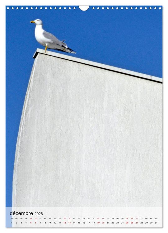 Produktbild: La mouette (Calendrier mural 2026 DIN A3 horizontal), CALVENDO calendrier mensuel