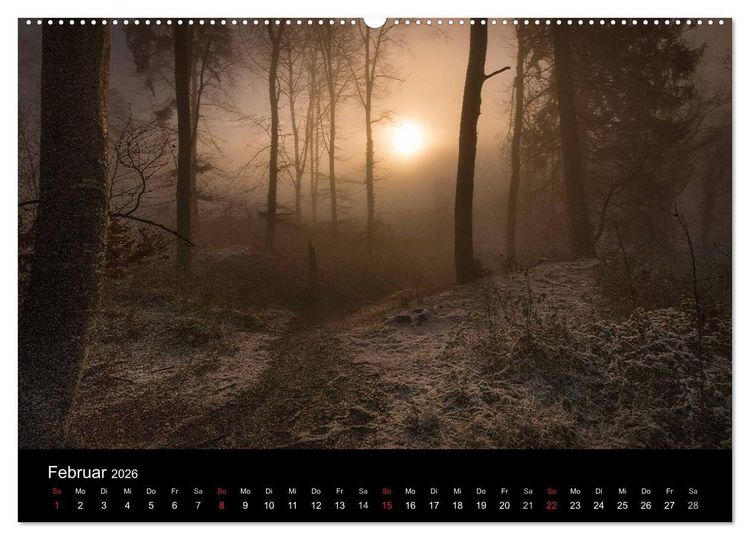 Produktbild: Mysterium Wald (Wandkalender 2026 DIN A2 quer), CALVENDO Monatskalender