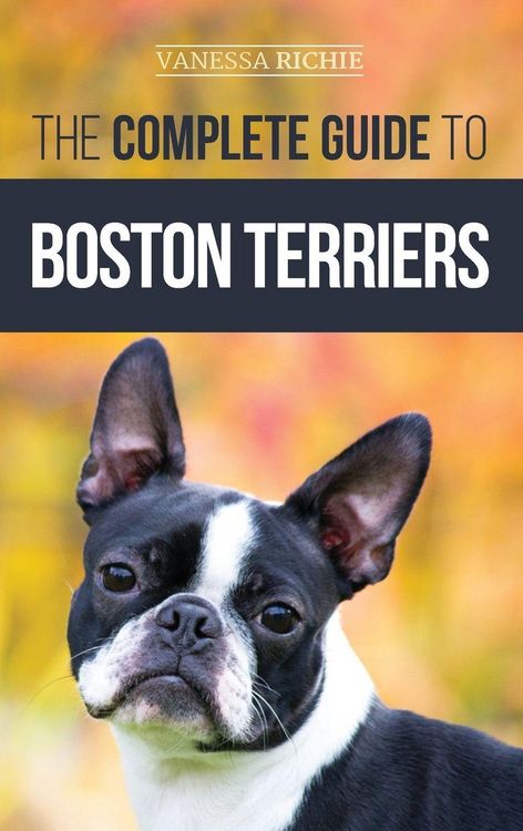 Produktbild: The Complete Guide to Boston Terriers