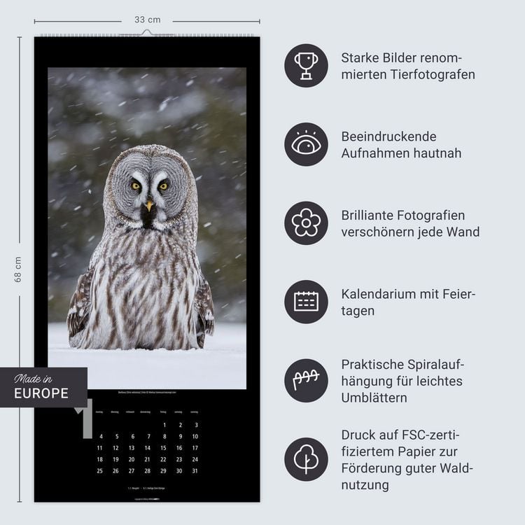 Produktbild: Eulen Kalender 2027