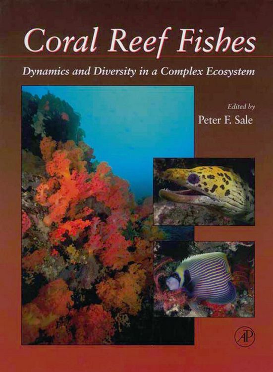 Produktbild: Coral Reef Fishes