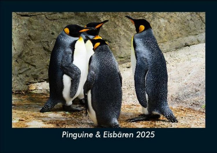 Produktbild: Pinguine & Eisb&auml;ren 2025 Fotokalender DIN A5