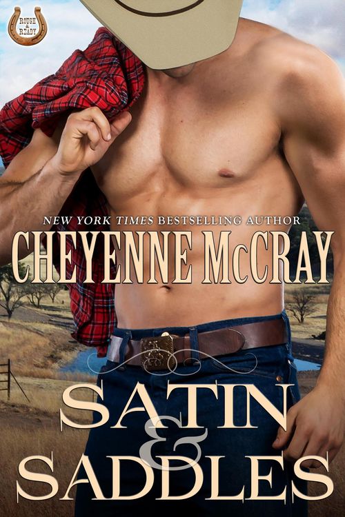 Produktbild: Satin and Saddles (Rough and Ready, #4)